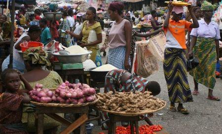 Le Sénat de Côte d’Ivoire adopte neuf projets de loi en plénière